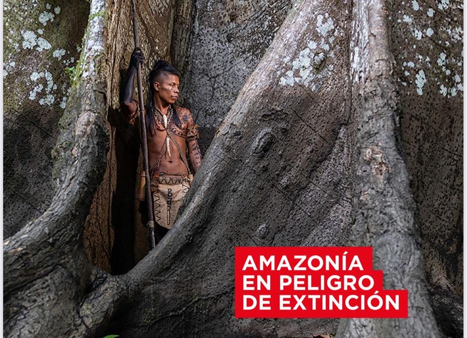 COICA: AMAZONÍA EN PELIGRO DE EXTINCIÓN