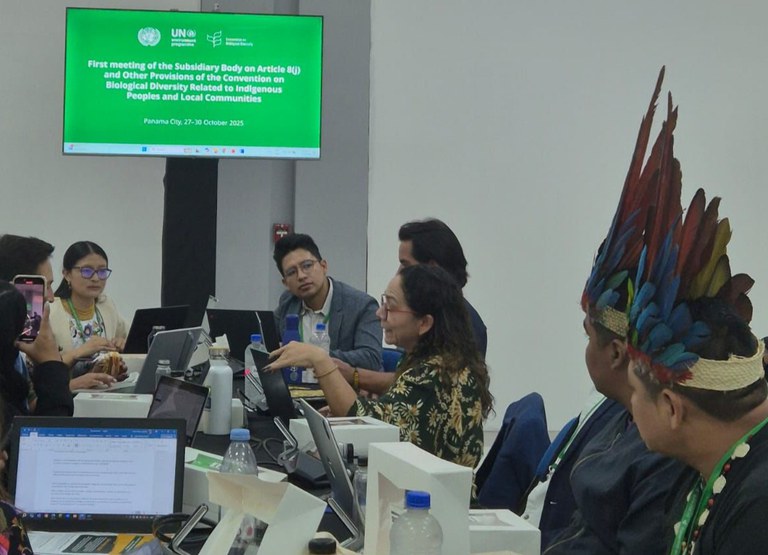 FUNAI: Panamá: Funai incide em negociações internacionais para aumentar representação indígena nas políticas de conservação da biodiversidade