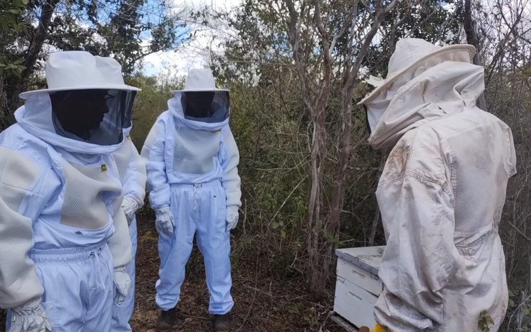 FUNAI: Funai promove intercâmbio entre os povos Kiriri e Pankararé e fortalece apicultura sustentável e geração de renda na Bahia