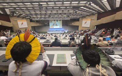 IEPÉ: Convenção de Minamata COP-6 avança em estratégias contra mercúrio