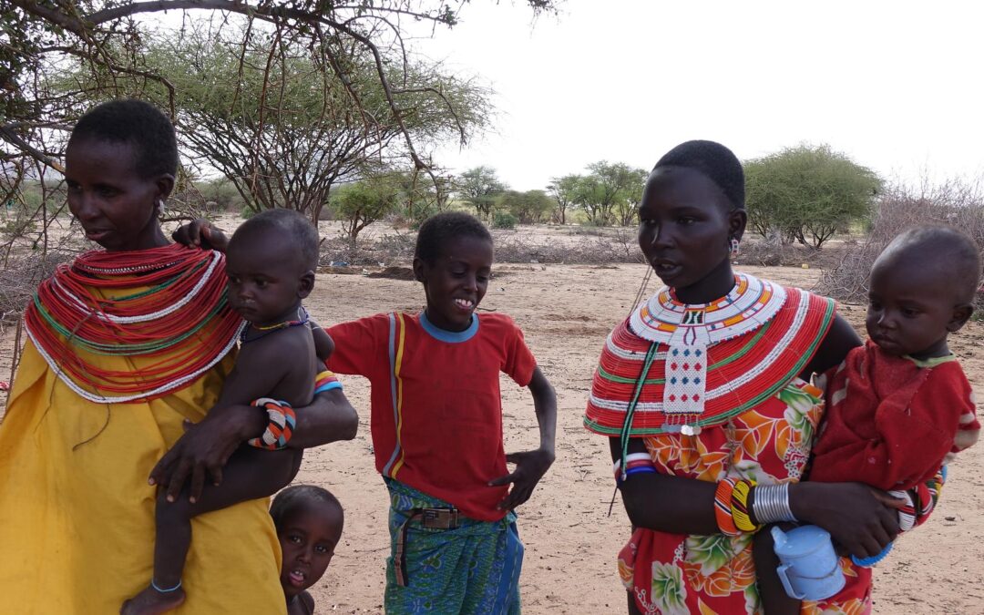 SURVIVAL: Terras indígenas em mãos indígenas: desafios da COP 30