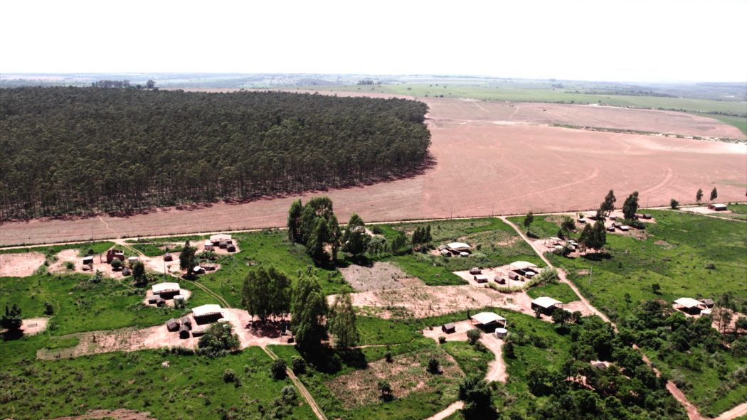 CIMI: Pyelito Kue: retomada Guarani e Kaiowá sobrevive a madrugada de ataques após criação de grupo para tratar de demarcações