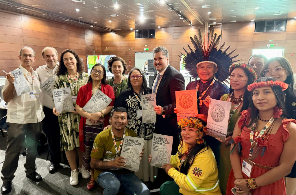 CIR: CIR DESTACA PROTAGONISMO INDÍGENA EM MESA SOBRE ADAPTAÇÃO CLIMÁTICA NA COP30