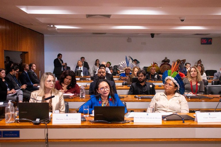 FUNAI: No Senado, Funai defende consulta livre, prévia e informada como imprescindível em qualquer proposição legislativa que afete os indígenas