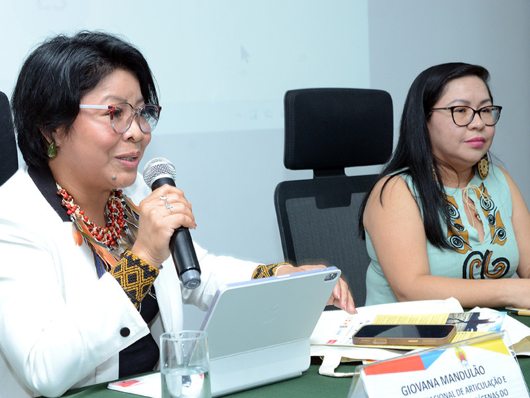 MPI: Em parceria com MPI e FUNAI, IBGE lança publicação “O Brasil Indígena”, com dados do Censo 2022