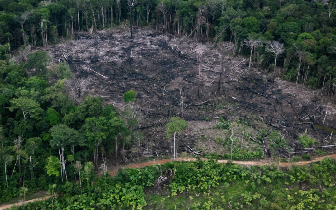 FOLHA: Emenda de senador financiou obra em estrada sem licença ambiental e invasora de terra indígena