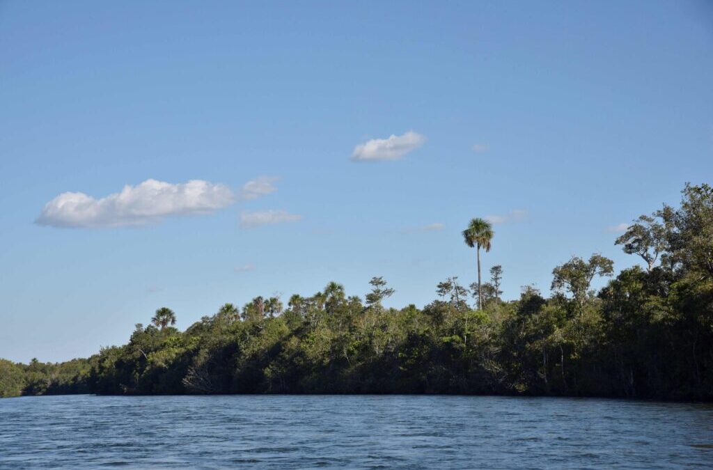 OPAN: Movimento indígena e organizações refutam falas do governador de Mato Grosso sobre territórios homologados 