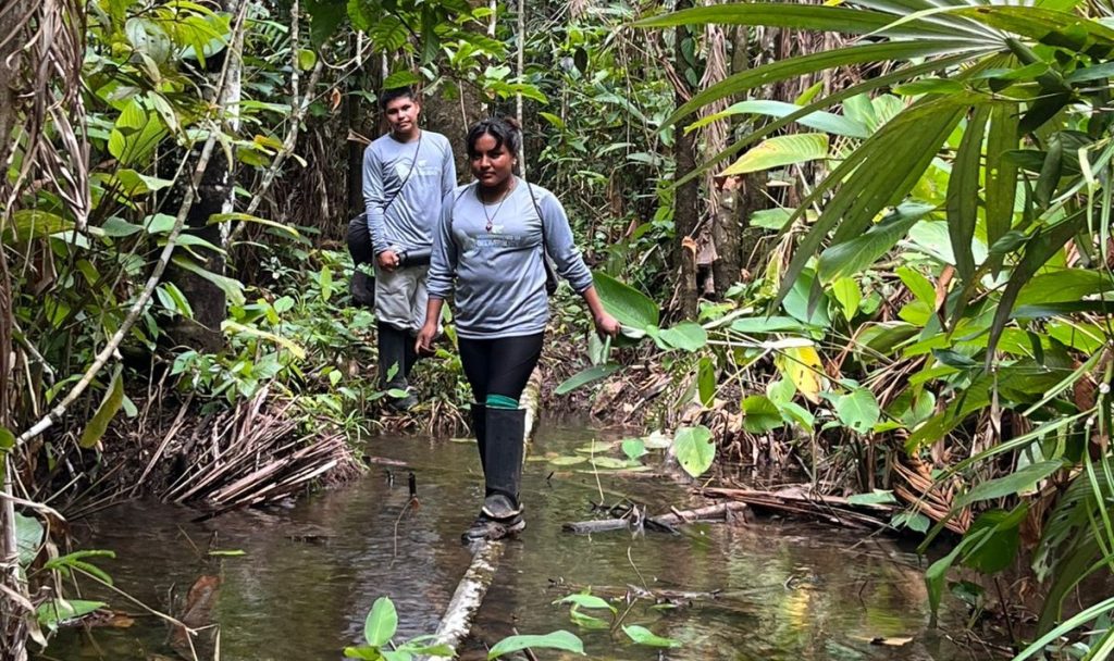 IEPÉ: Programa Grande Tumucumaque inicia monitoramento da biodiversidade