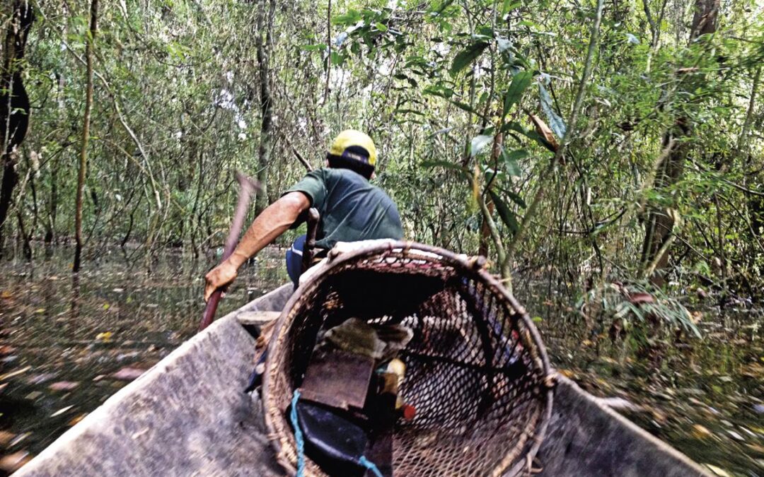 ISA: Plano Nacional de Logística precisa ouvir povos da Amazônia