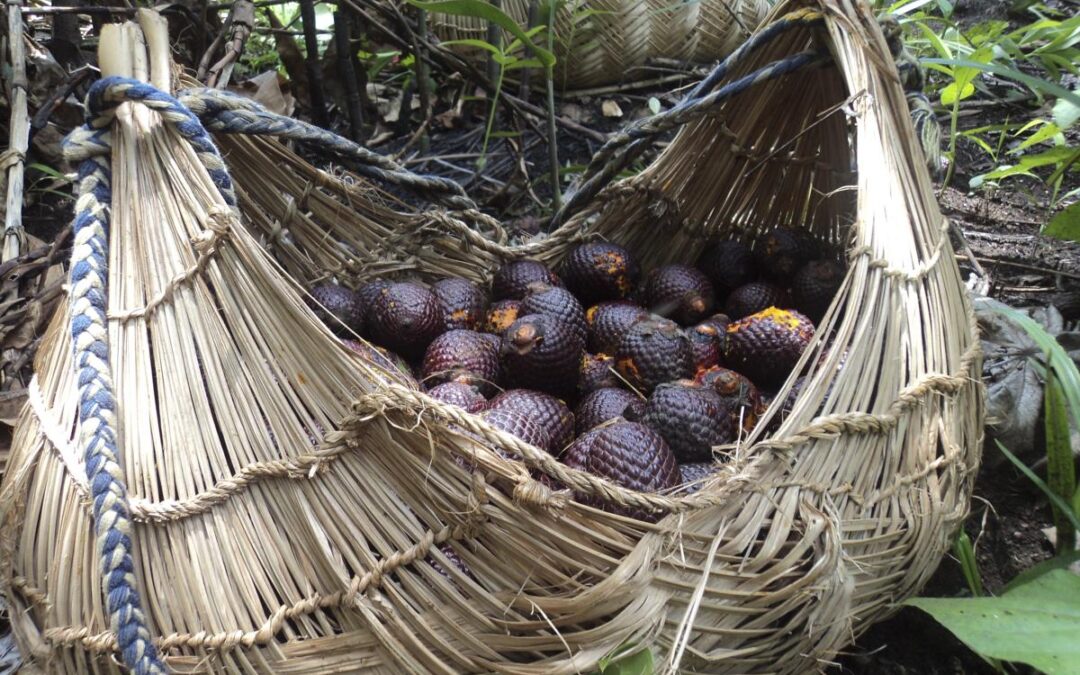 ISA: Povo Xavante busca ampliar alimentação tradicional nas escolas