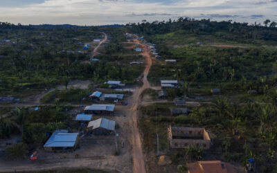 FOLHA DE S. PAULO: Relatório aponta persistência de gado invasor em terra indígena no Pará