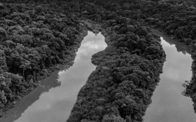 FOLHA DE S. PAULO: Indigenistas decifram sinais na floresta para proteger grupos isolados da amazônia