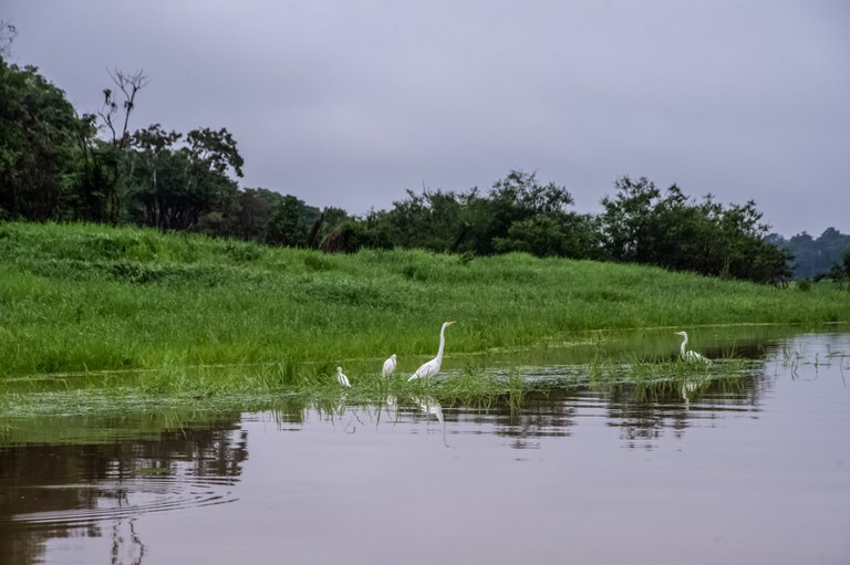 FUNAI: Funai conclui delimitação de três novas terras indígenas no Amazonas e em Santa Catarina