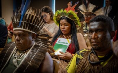CIMI: Conjuntura indigenista em 2025: travas estruturais à efetivação dos direitos fundamentais dos povos indígenas no Brasil