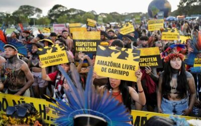 GREENPEACE: Emergência Yanomami completa 3 anos com avanços na saúde e na proteção do território