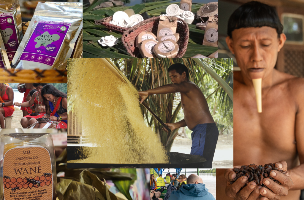 IEPÉ: Economias da Floresta fortalecem territórios indígenas no Amapá e Norte do Pará