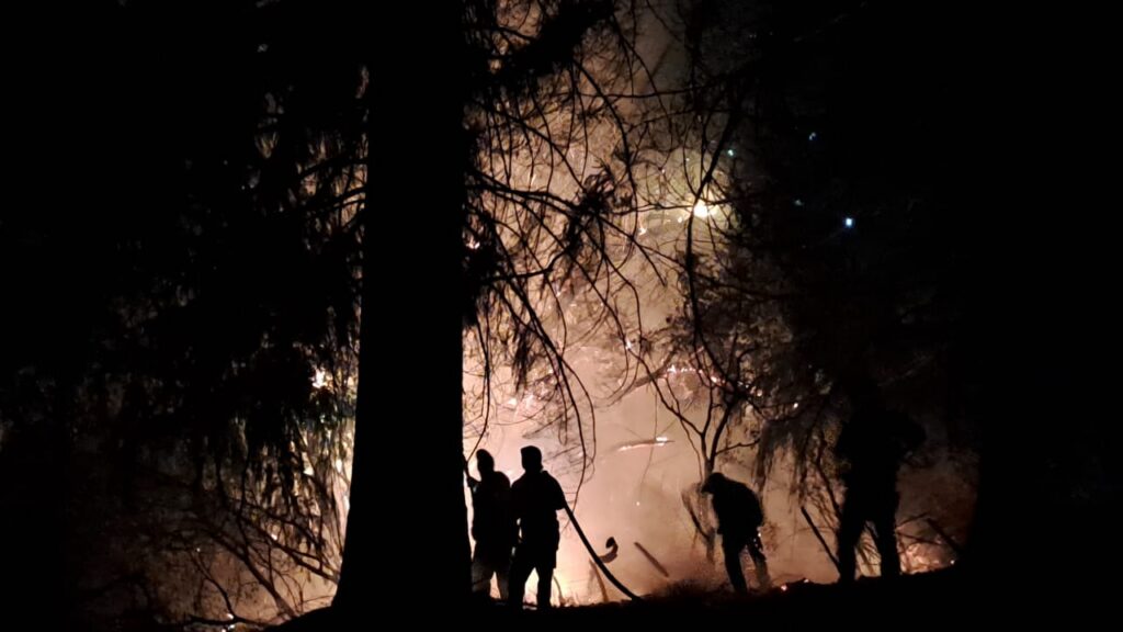 BRASIL DE FATO: Em meio a incêndios na Patagônia, governo Milei criminaliza indígenas mapuche, que pedem ajuda: ‘É tão importante quanto a Amazônia’