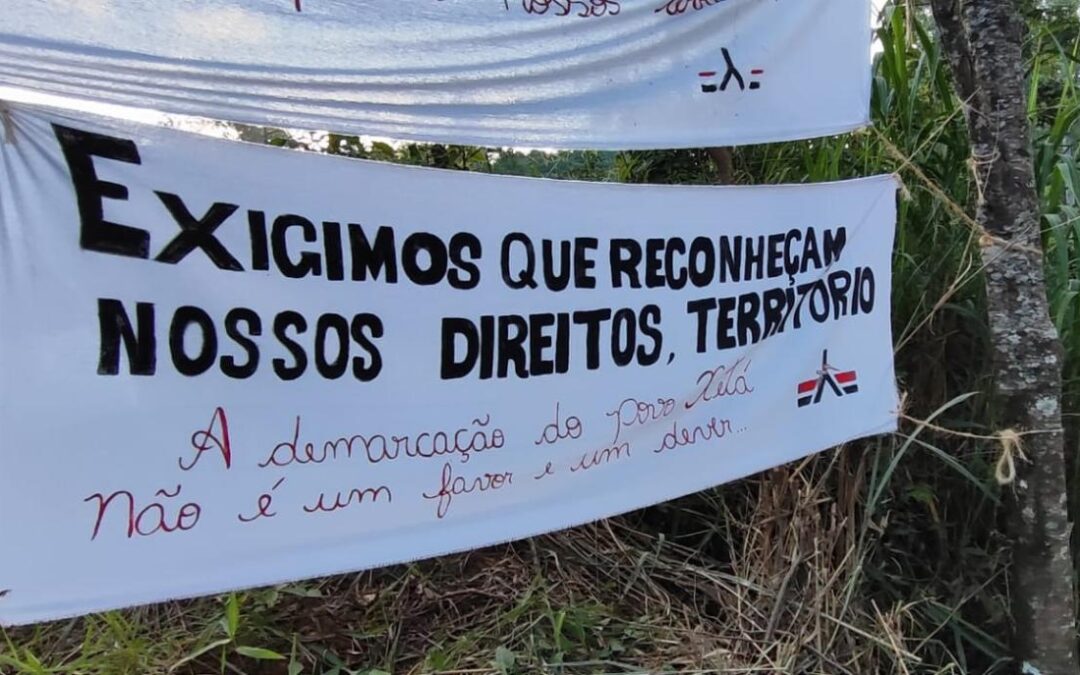 ISA: Povo Xetá ocupa terras no Paraná em busca de reparação por graves violações de direitos humanos