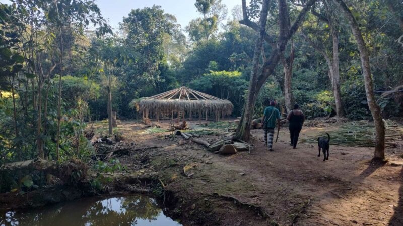 CIMI: Aldeia Multiétnica Filhos Desta Terra se torna a primeira Reserva de Desenvolvimento Sustentável indígena