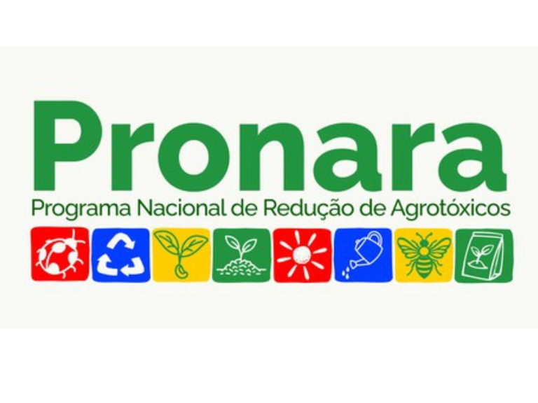 MPI: Governo Federal cria grupo de trabalho para mediar conflitos por agrotóxicos em terras Guarani e Kaiowá no MS