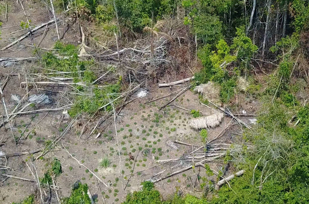 FOLHA DE S. PAULO: Organização relata roubo e tortura de indígena no Vale do Javari