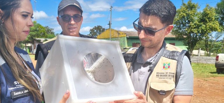 SAÚDE: No Rio Grande do Sul, Ministério da Saúde amplia uso de mosquitos estéreis para controle do Aedes aegypti em território indígena