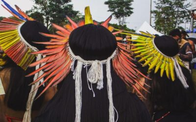 APIB: Nota as bases, aliados e apoiadores – A luta continua!