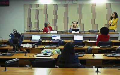CÂMARA: Violência contra mulheres negras e indígenas mobiliza debate no Congresso