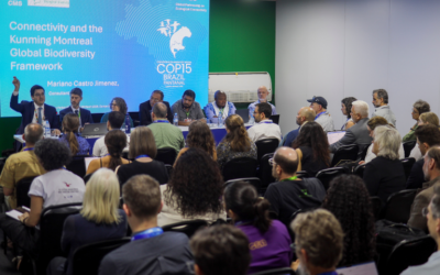 MMA: Na COP15, MMA defende papel de povos indígenas e comunidades tradicionais na proteção de espécies migratórias