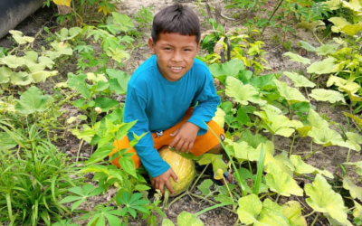 ONU: Com financiamento do FIDA, projetos liderados por comunidades indígenas fortalecem a proteção florestal e a soberania alimentar na Amazônia