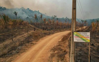 ISA: Ferrogrão: as exigências do TCU