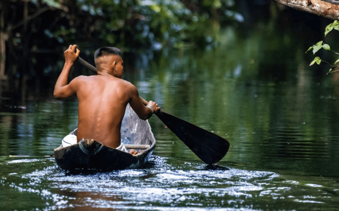 ONU: UNODC e Ministério da Justiça lançam Índice de Vulnerabilidade de Territórios Indígenas ao Crime Organizado
