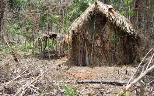 FUNAI: Criação do Parque Nacional dos Povos Indígenas de Tanaru avança após consulta pública em Rondônia