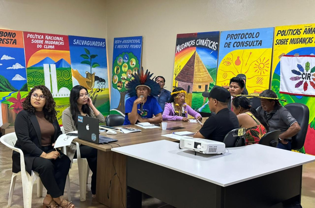 CIR: LIDERANÇAS DA RAPOSA SERRA DO SOL DENUNCIAM GARIMPO ILEGAL E VIOLAÇÕES DE DIREITOS HUMANOS EM AUDIÊNCIA COM RELATOR DA ONU