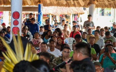 CIR: PROTEÇÃO TERRITORIAL: LIDERANÇAS COBRAM AÇÕES EFICAZES DE ÓRGÃOS FEDERAIS SOBRE FISCALIZAÇÃO, PROTEÇÃO TERRITORIAL, SEGURANÇA E EMPREENDIMENTOS EM TIS