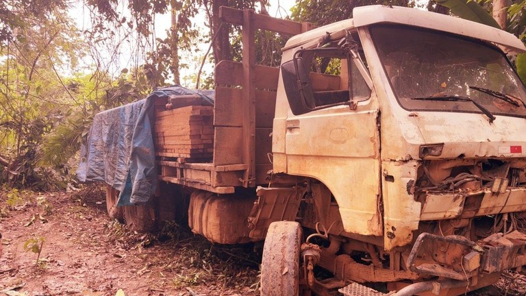 FUNAI: Funai, PF e FNSP desarticulam exploração de madeira e garimpo ilegal no Pará