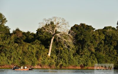 OPAN: Processos minerários avançam e ocupam mais de 24% do território de Mato Grosso