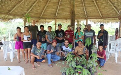 CIMI: Povos Mura e Maraguá fortalecem a agroecologia e os sistemas agroflorestais com troca de saberes e cooperação no Amazonas