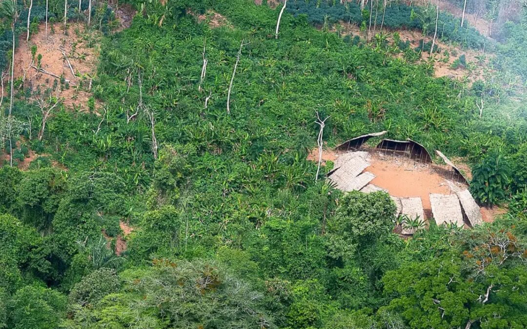 BRASIL DE FATO: Sensor de baixo custo vai monitorar qualidade do ar em Terras Indígenas 