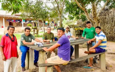 FUNAI: Em Rondônia, Funai realiza mapeamento de roças e produções agrícolas na TI Sete de Setembro