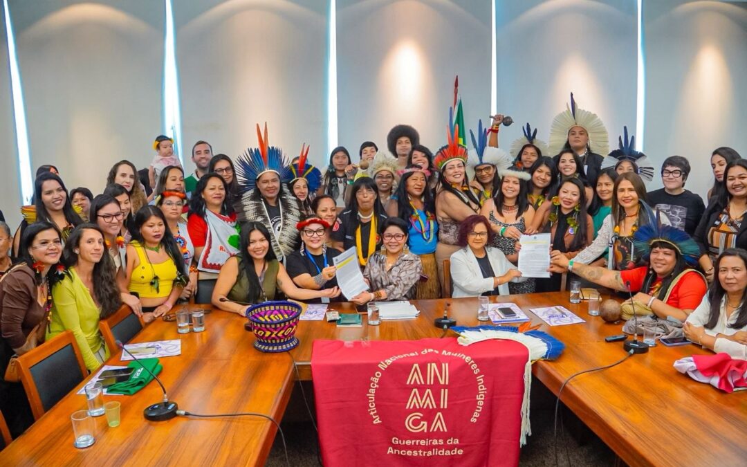MPI: MPI e Ministério das Mulheres apresentam avanços na construção de política para mulheres e  meninas indígenas