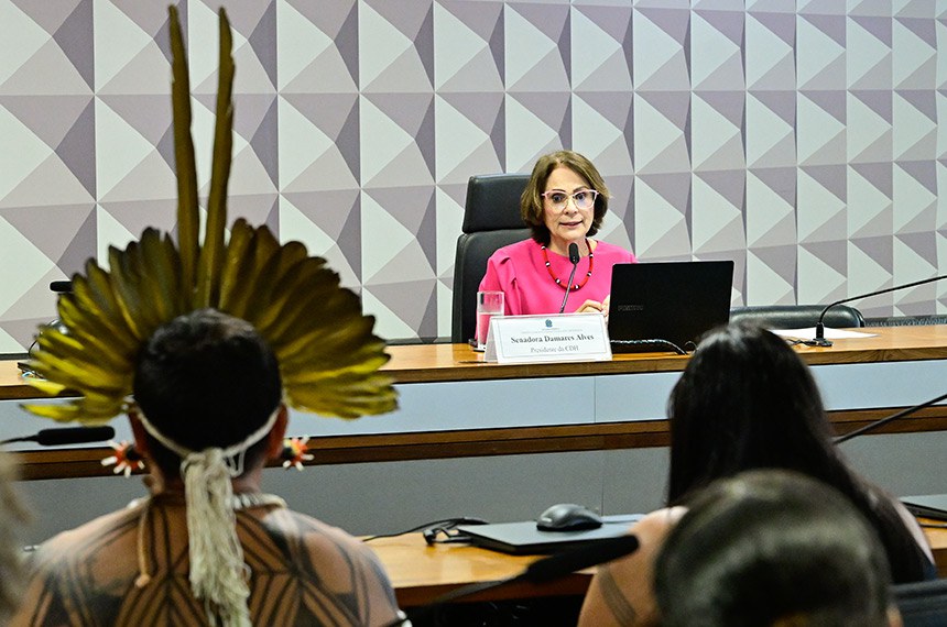 SENADO: Poderes devem se unir para proteger crianças indígenas, aponta debate na CDH