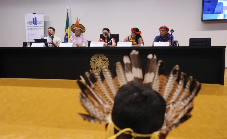 CÂMARA: Lideranças defendem indígenas em espaços de decisão e proteção de territórios em seminário na Câmara