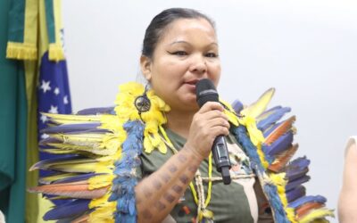 CÂMARA: Lideranças indígenas cobram na Câmara criação de Comissão Nacional Indígena da Verdade