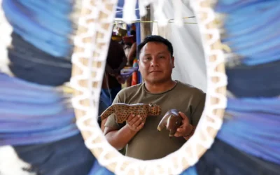 BRASIL DE FATO: Indígenas relatam que desmatamento impacta produção de cocares