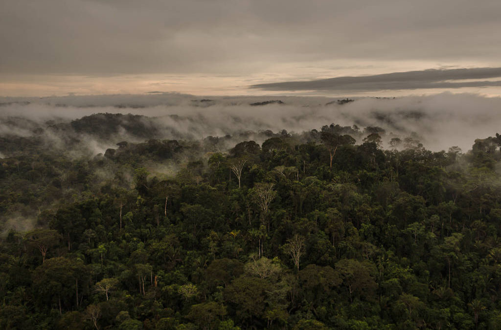 FOLHA DE S. PAULO: Indígenas e ONGs criticam STF e Câmara por decisões que reduzem áreas protegidas na amazônia