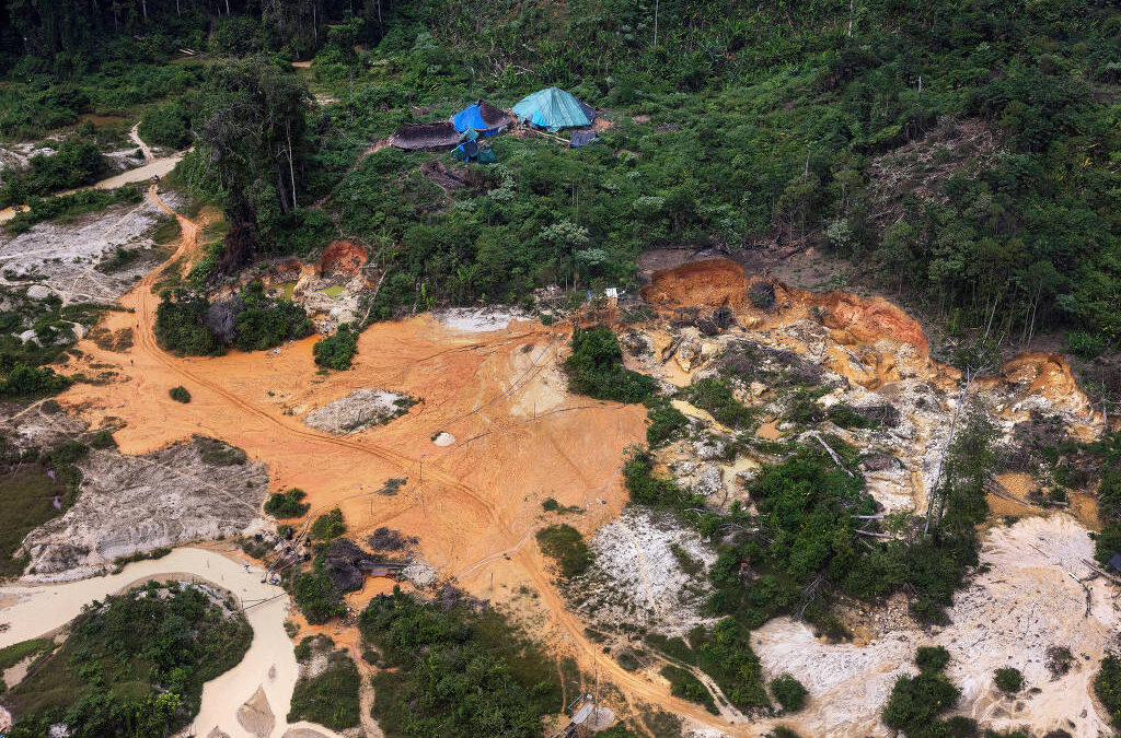 FOLHA DE S. PAULO: Treze terras indígenas concentram 51% do desmate em territórios monitorados na amazônia