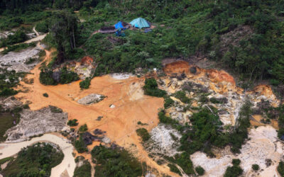 FOLHA DE S. PAULO: Treze terras indígenas concentram 51% do desmate em territórios monitorados na amazônia