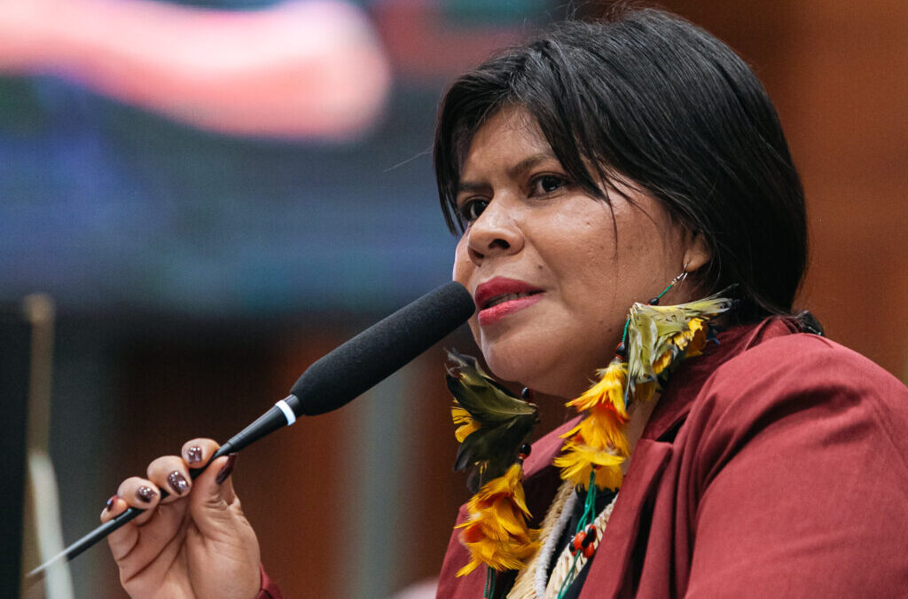OPAN: Moção de aplausos em homenagem à luta de lideranças indígenas e parceiros
