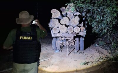 FUNAI: Funai, Ibama e Polícia Civil realizam fiscalização contra exploração ilegal de madeira no Território Indígena do Xingu